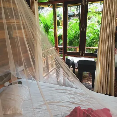 Agonda Sunset Beach Resort Room photo